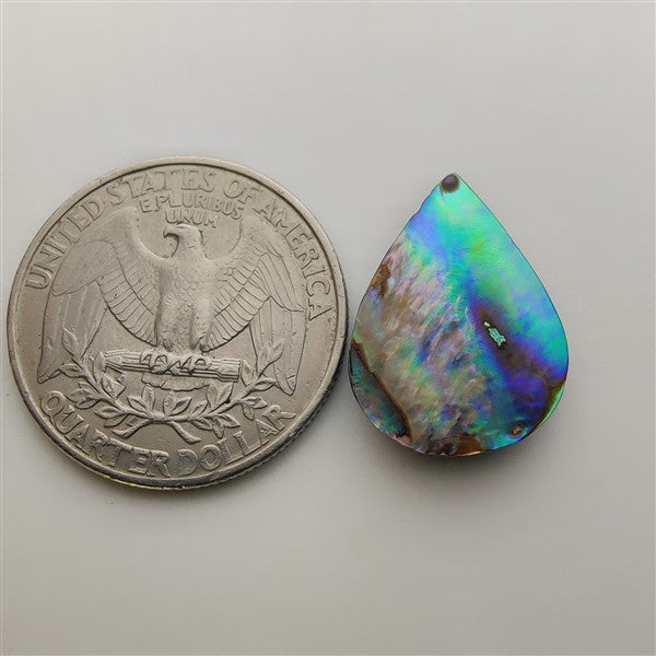 Abalone Shell gemstone cabochon - natural crystal healing stone for jewelry making by Gemivra