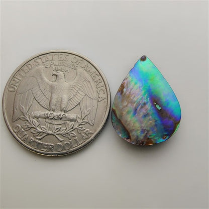 Abalone Shell gemstone cabochon - natural crystal healing stone for jewelry making by Gemivra