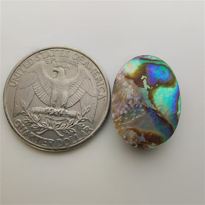 Abalone Shell gemstone cabochon - natural crystal healing stone for jewelry making by Gemivra