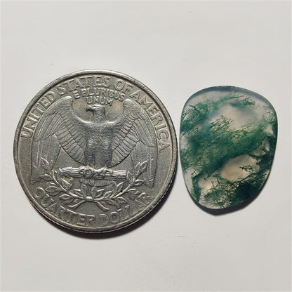 Rose Cut Moss Agate gemstone cabochon - natural crystal healing stone for jewelry making by Gemivra