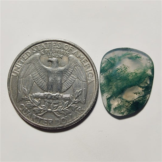 Rose Cut Moss Agate gemstone cabochon - natural crystal healing stone for jewelry making by Gemivra