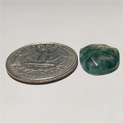 Rose Cut Moss Agate