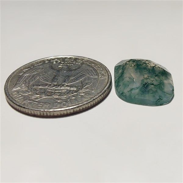 Rose Cut Moss Agate