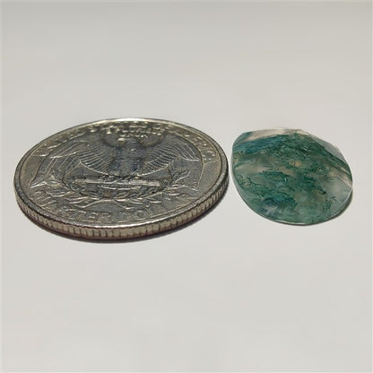 Rose Cut Moss Agate