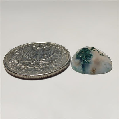 Rose Cut Moss Agate
