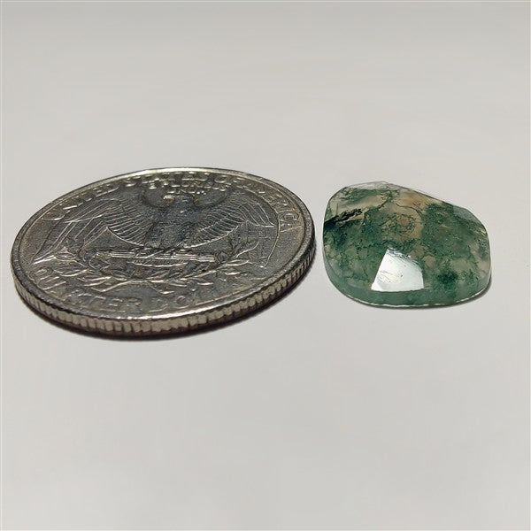 Rose Cut Moss Agate