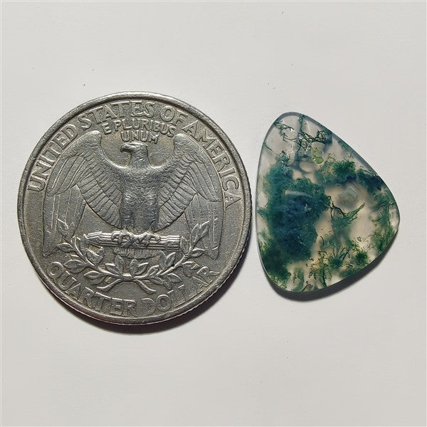 Rose Cut Moss Agate gemstone cabochon - natural crystal healing stone for jewelry making by Gemivra