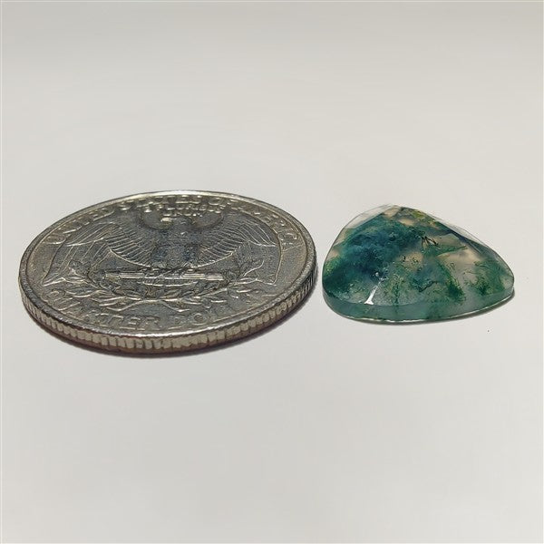 Rose Cut Moss Agate