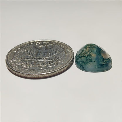 Rose Cut Moss Agate