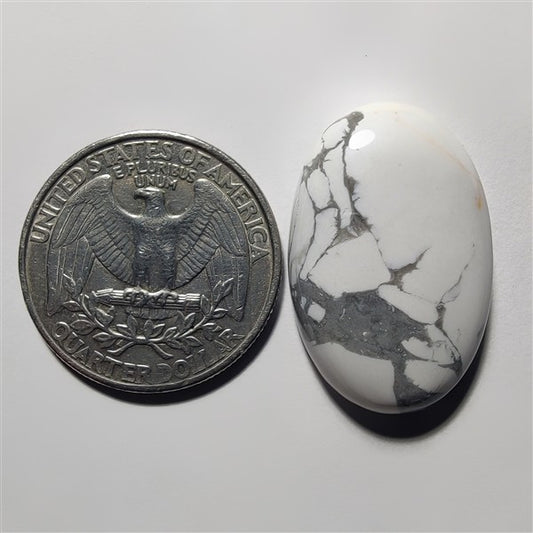 Howlite gemstone cabochon - natural crystal healing stone for jewelry making by Gemivra