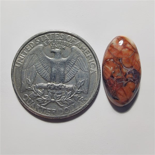 Bird Eye gemstone cabochon - natural crystal healing stone for jewelry making by Gemivra