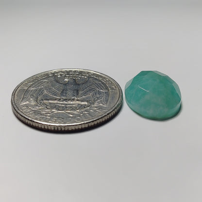 Checker Cut Amazonite
