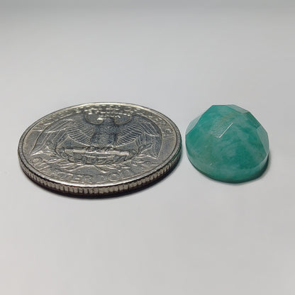 Checker Cut Amazonite