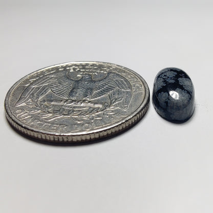 Snowflake Obsidian