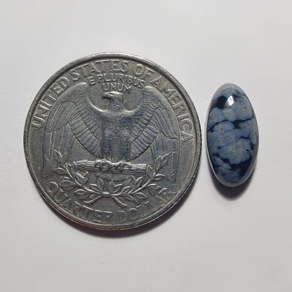 Snowflake Obsidian gemstone cabochon - natural crystal healing stone for jewelry making by Gemivra