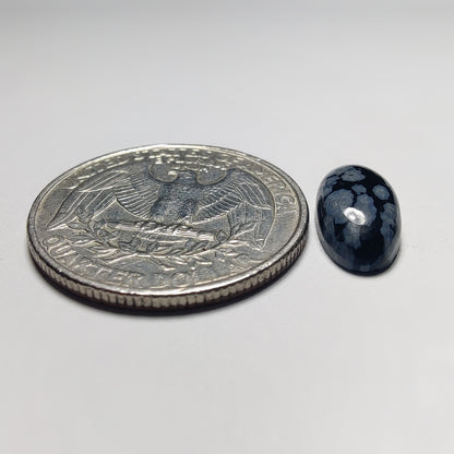 Snowflake Obsidian